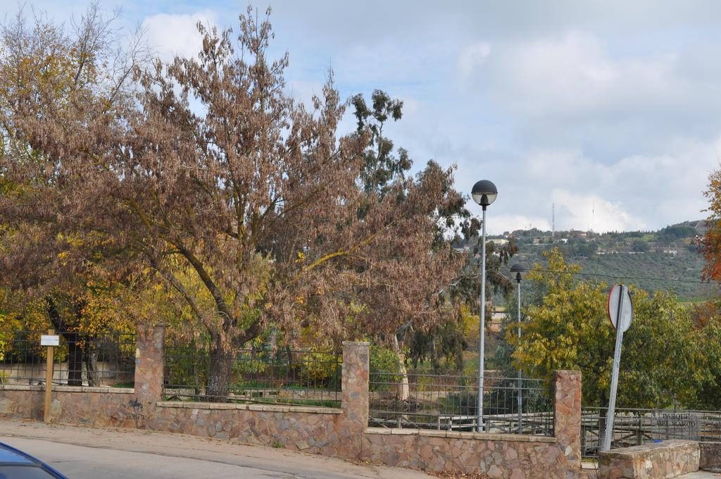 Apartamento Turistico La Ribera Del Marco Caces 객실 사진